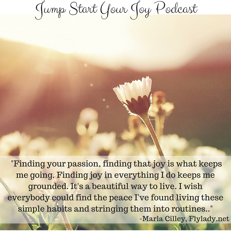 Finding Joy in Everything Your Do with Flylady Marla Cilley on Jump Start Your Joy
