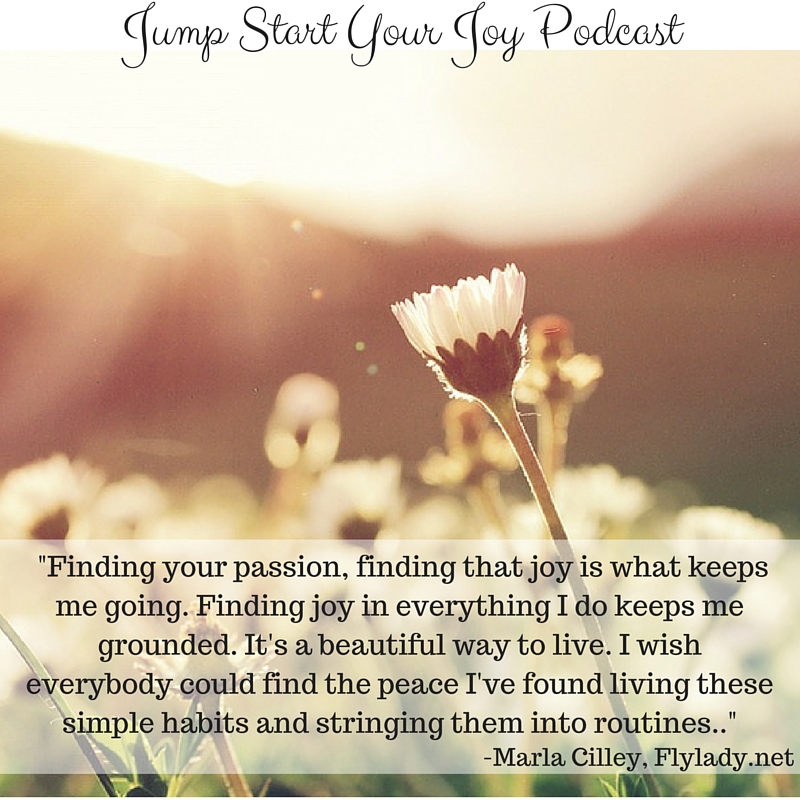 Flylady Marla Cilley on Finding Joy in Everything You Do - Jump Start ...