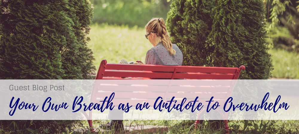 own breath as antidote to overwhelm